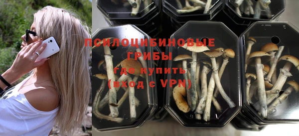 2c-b Белоозёрский