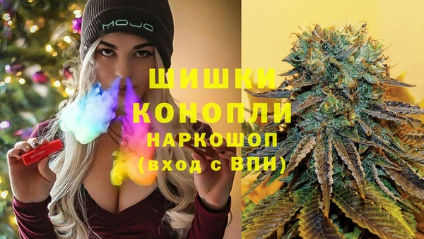 стаф Баксан