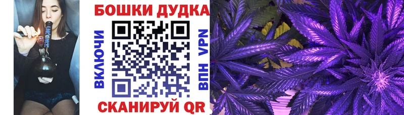 наркота  Нестеров  Шишки марихуана план 